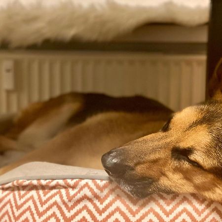 194 Fewo Dat Luetjehuus Mit Dachterrasse Im Ersten Stock Lütjenburg Eksteriør billede